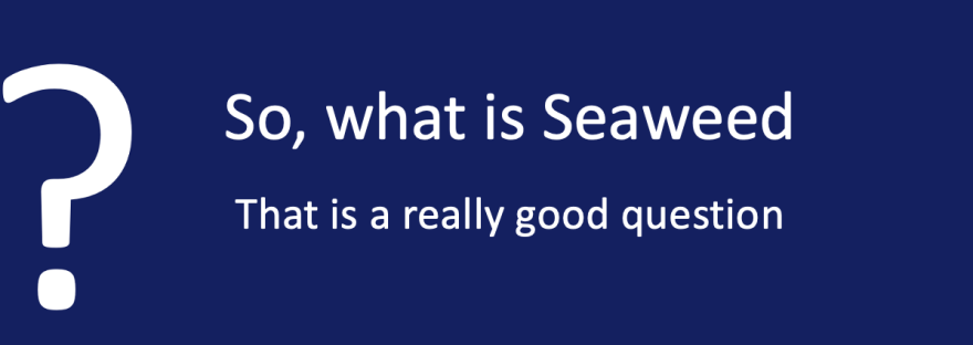 So, what is Seaweed?