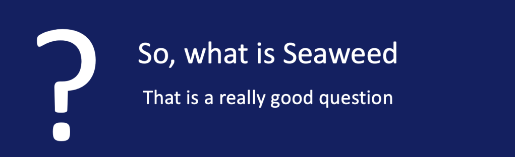 Image, blue background with white text which reads : 
? So, what is 'Seaweed'? That's a really good question"