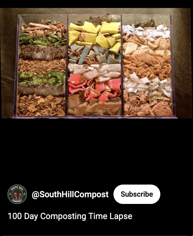 An image of kitchen waste in three sections.  The link plays a Time lapse film showing worms and bacteria breaking down organic waste over 100 days.