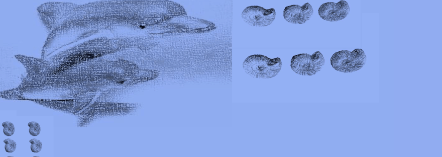 An illustrative image of Reggie, a friend and fossils